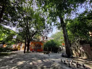 Uma maheshwar mandir Sambarpat,Jinsi