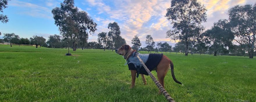 K M Reedy Reserve