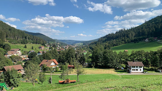 Natur-Camp Tannenfels