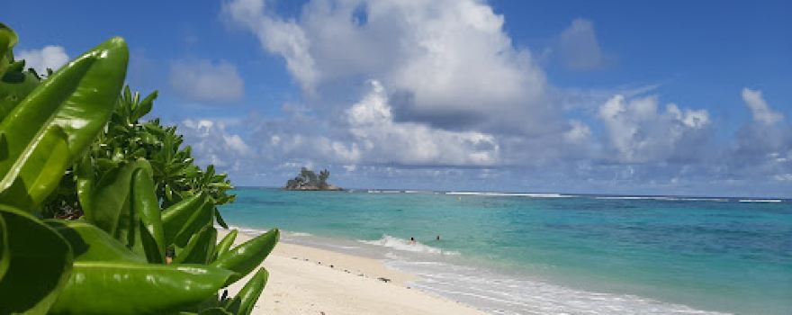 Anse Royale