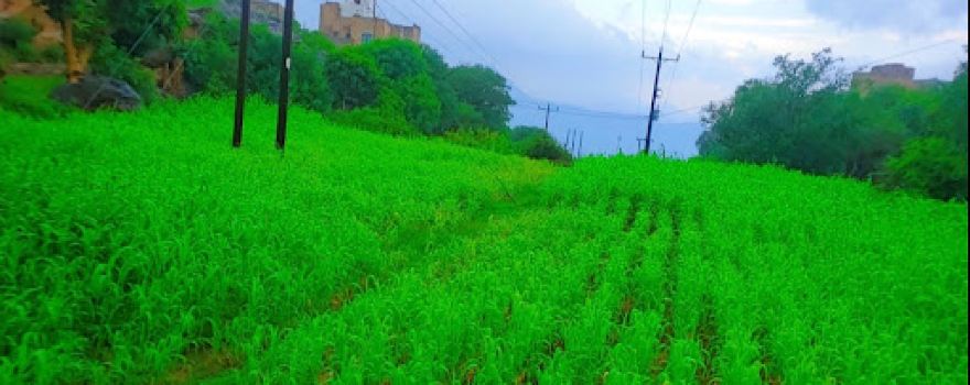 تعز منطقة المذاحج --Taiz- Almathahj