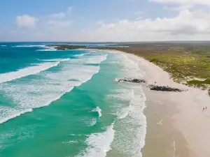Tortuga Bay Beach