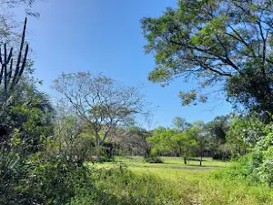 Reserva del ARARY