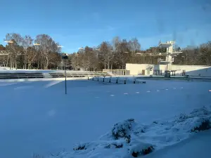 Borås Simarena