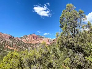 Taylor Creek Trailhead