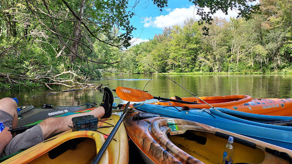 Hidden Marsh Sanctuary