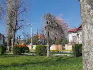 Parcul 9 Luni