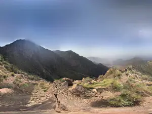 Alqroon Forest