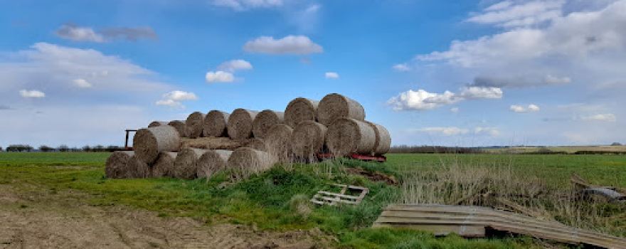 Wolds Camping and Caravan