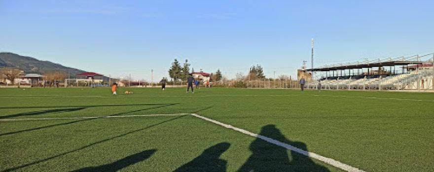 Altınüzüm Halısahası