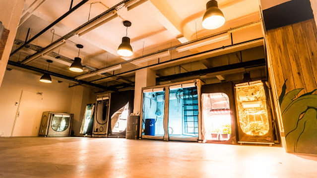 Growland - Dein Growshop