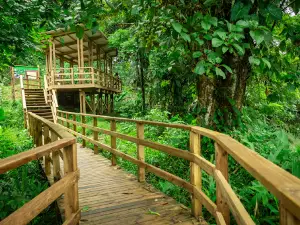 Sendero eco turístico de Tutunendo