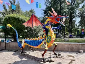 Villa De Pozos Garden
