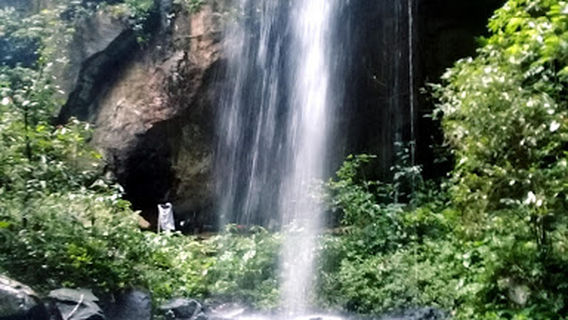 Tangkahan Visitor Center