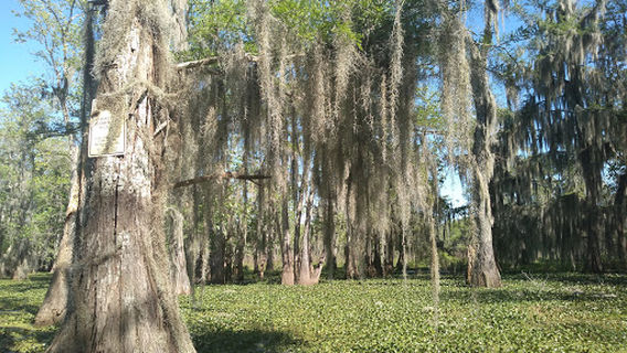 Lafayette Parks & Recreation