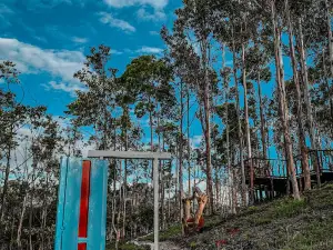 Sitio Turístico Mirador la Puerta al Cielo Tarqui