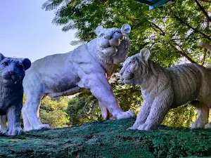 Gwalior Zoo