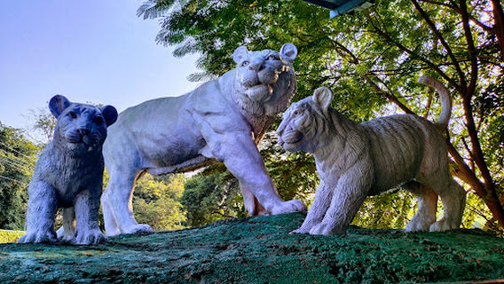 Gwalior Zoo