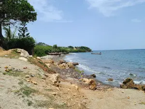 Camp louise beach