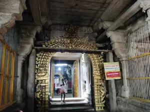 Arulmigu Naganatha Swamy Temple