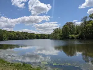 Patriot's Park