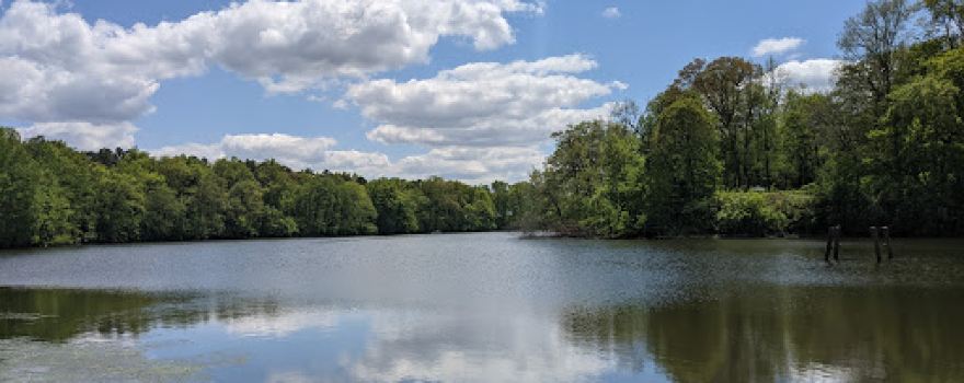 Patriot's Park