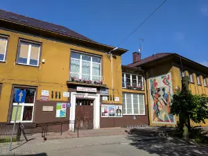Kino Wilga