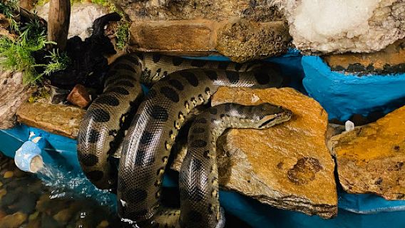Serpentarium Wildlife Park