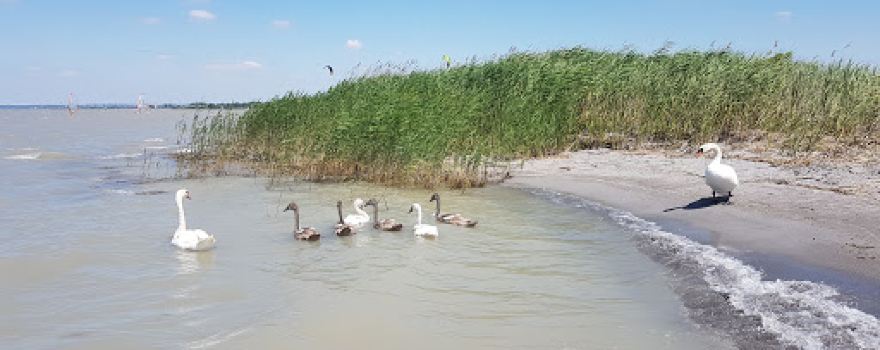 Pannonian Basin