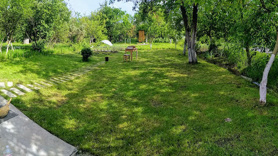 "Sadove Tovarystvo Vlasnykyv "Medyk"