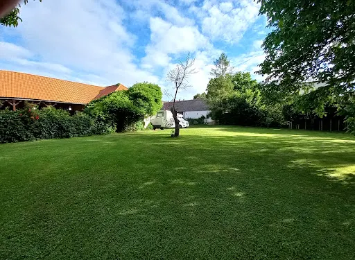 奧斯特羅瓦西斯