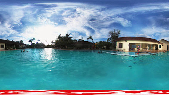 Kolam Renang Palm Spring