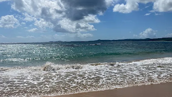 Sacred Lotus Yoga and Massage