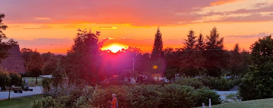 Oko camping natur