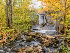 Hungarian Falls