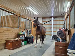 World Equestrian Center
