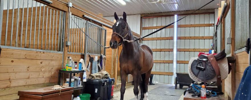 World Equestrian Center
