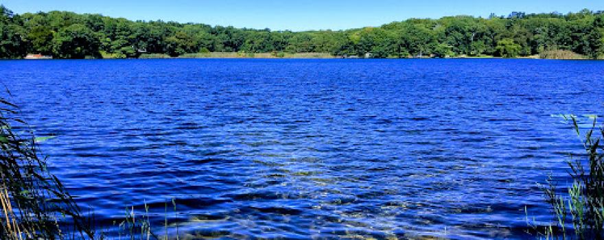Laurel Lake Park