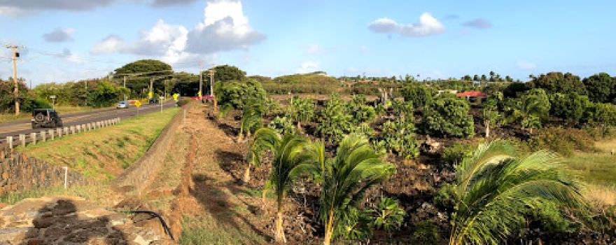 Kāneiʻolouma Heiau