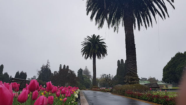 Marist St Michael's Rugby and Sports Club