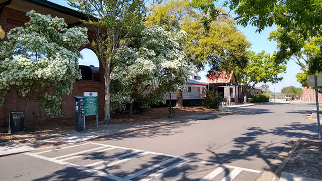 Coastal Georgia Center