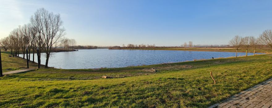 Asseltse Plassen