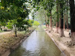 Changa Manga Forest Zoo