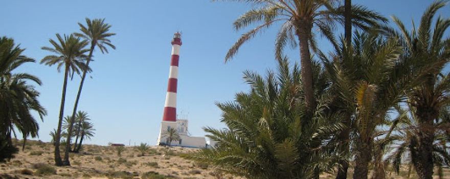 Djerba Tourisme