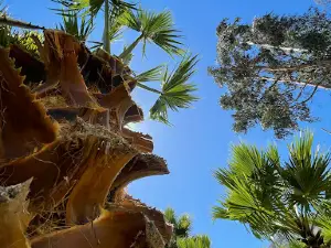 Camping El Almendral