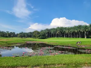 Orchard Golf And Country Club