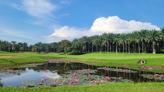Orchard Golf And Country Club