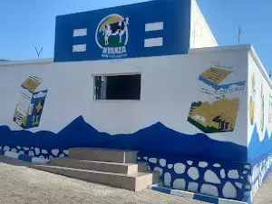 Nyanza Milk Industries