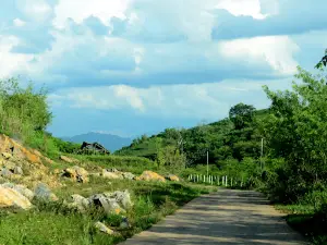 Tà Số