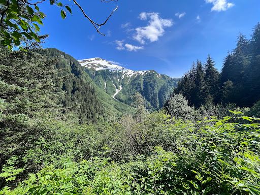 Mt Juneau